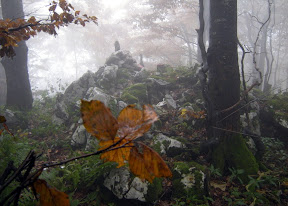 Tam je natanko 1275m visoko.