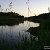 dsc03651.jpg