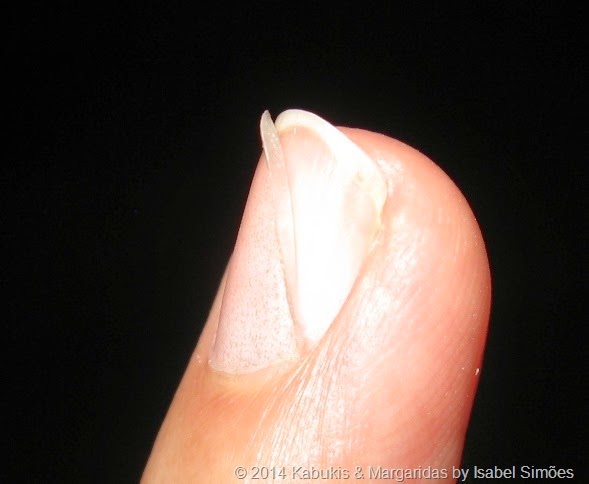 [IMG_1076%255B13%255D.jpg]