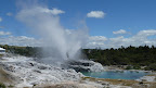Prince of Wales' Feathers und Pohutu Geysire, Whakarewarewa Thermal Village, Rotorua.