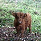 DSCF6087.JPG