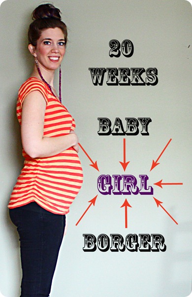 20 weeks