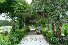 Glória Ishizaka -   Kyoto Botanical Garden 2012 - 71