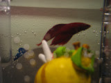 IMG_3543.JPG