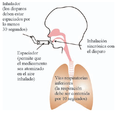 fig02a19 fig02a19