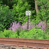 MN-White-Bear-Lake_Skally-MP12_2010-06-01_Mile-post-12_020.jpg