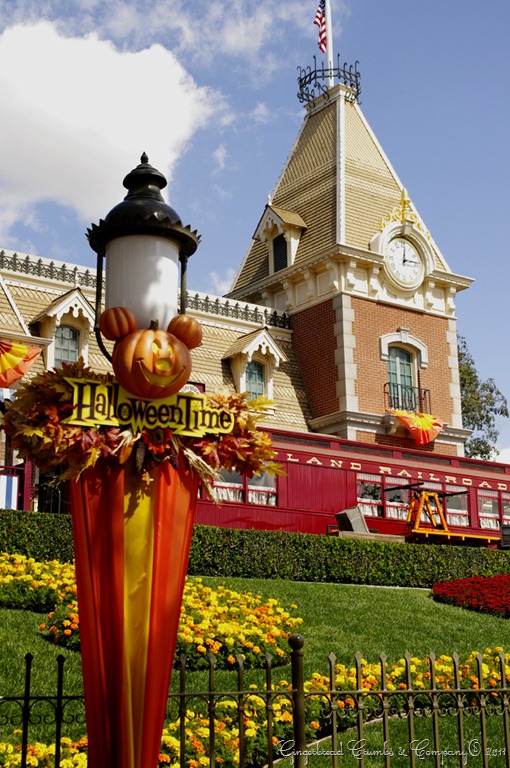 [dland1.jpg]