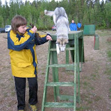 Videregående kurs - Trysil 12. - 15. juni 2008