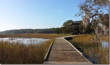 skid_big_ferry_trail_tower