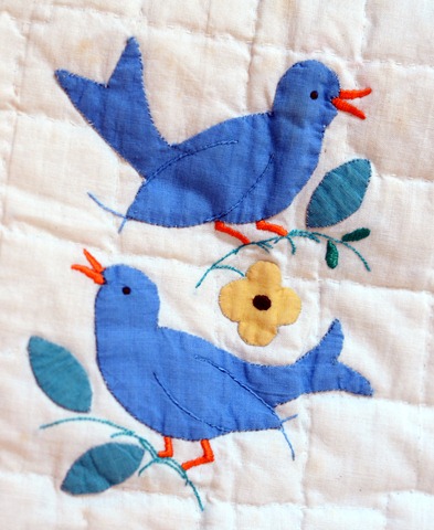 [birdies3.jpg]
