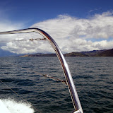 South Island - Kaikoura - swimming with dolphins