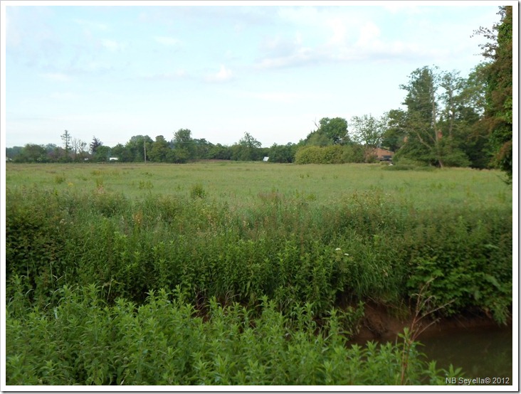 SAM_0996 Site of Battle of Cropredy Br