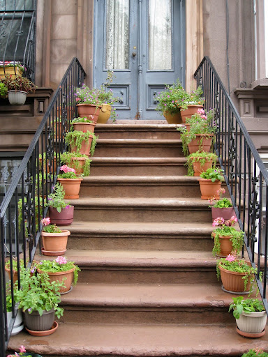 Other stoop gardeners go for a very uniform look not just in containers, but in plant choices too. There is a lot more room for self-expression in gardening than most people realize.