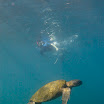 VE016 Day 6 Snorkeling Vol. Ecuador.jpg