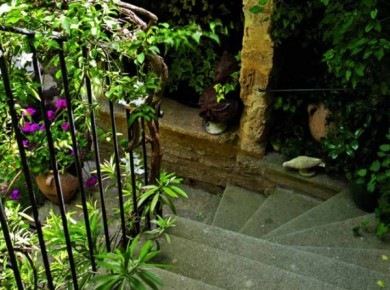 [7_carrousel_gallery%255B7%255D.jpg]