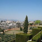 IMG_0949.JPG