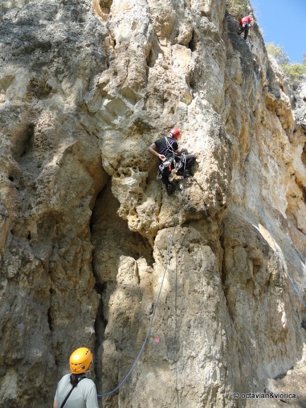 basarbovo-14.jpg