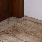 p2.jpg