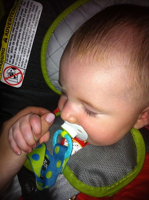 IMG_7940 IMG_7940