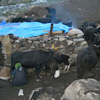 DSCN0425.jpg
