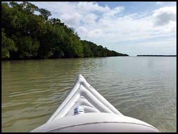 03b2 - paddled along the mangroves