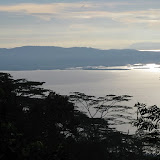 Trees and ocean from Gamalama (Andy Dean, May 2011)