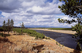 Yellowstone Park Plus 20