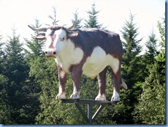 8412 Manitoba Oak Lake just off Trans-Canada Highway 1 - Isaac the Ox