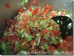 Our Favorite Salsa - The Backyard Farmwife