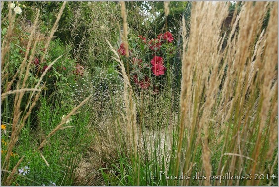 IMG_7550 IMG_7550