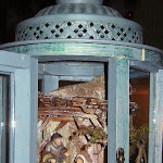 1554-5.JPG