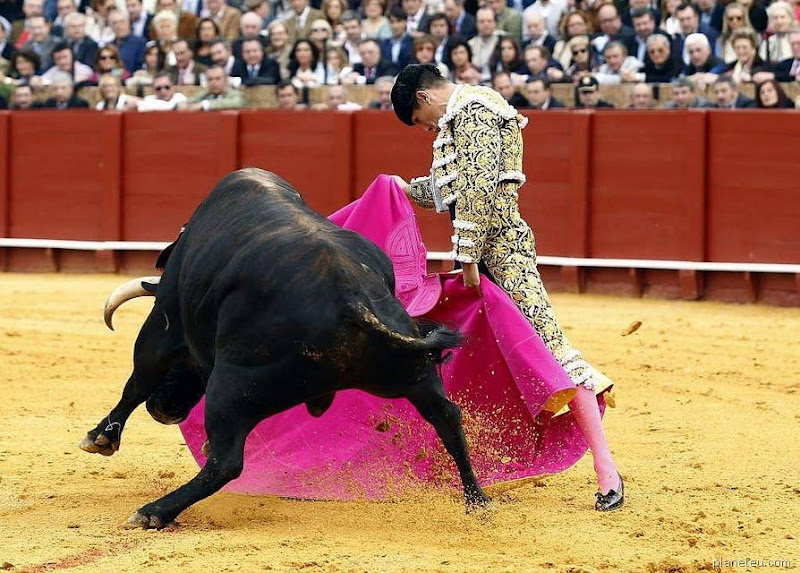 Toros en Sevilla Toros en Sevilla