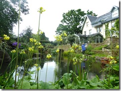 house and pond