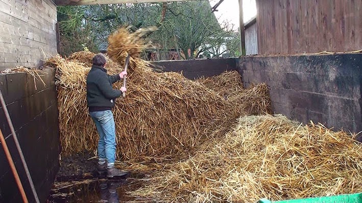 [20141219141052-%25284%2529%255B2%255D.jpg]