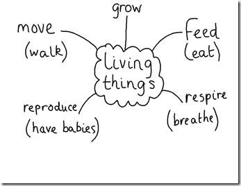 living things grow, respire......notebook - Google Chrome 21042012 081112.bmp