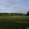 dsc06935.jpg