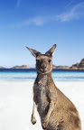 Sprachaufenthalt Australien