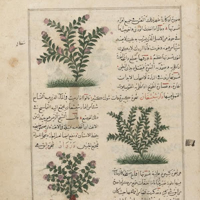 Peach Tree (Khawkh) and Elm Tree (Dardar); folio from a Aja'ib al-makhluqat ("Wonders of Creation") by al-Qazvini | Origin: Iraq or Eastern Turkey | Period: early 15th century Muhammad al-Qazwini (b. Zakariya) c. 1203-1283), | Details: Not Available | Type: Opaque watercolor, ink and gold on paper | Size: H: 32.7 W: 22.4 cm | Museum Code: F1954.76 | Photograph and description taken from Freer and the Sackler (Smithsonian) Museums. 9eacef73fb694d46a9f5449c7866cea4.jpg