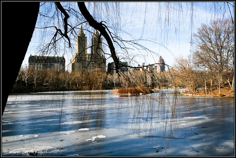 Вид на Америку: Central Park (foto america  фото путешествия new york manhattan  0401%252520USA%25252C%252520NY%25252C%252520Central%252520Park 18)