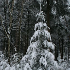 3-1-2010-039.jpg