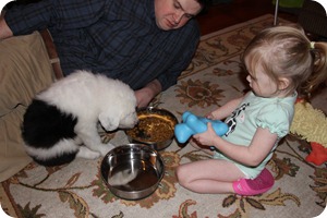 IMG_1345e