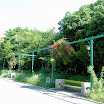 Digital StillCamera