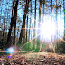 DSCN4382.JPG