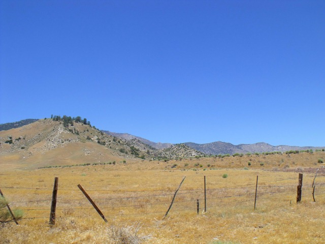 [pics%2520005%255B4%255D.jpg]