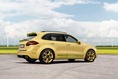 Porsche-Cayenne-Lemon-9 Porsche-Cayenne-Lemon-9