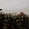 DSC_0114-2.jpg