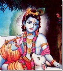 Lord Krishna