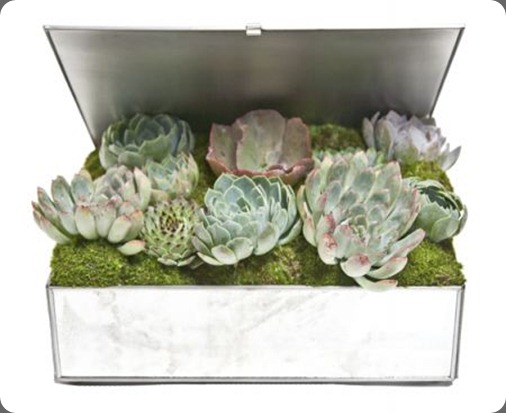 Joli Orchid Box IMG_2639_LowRes_450x450 floral art la