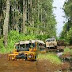 Villa istana bunga paintball outbound lembang bandung