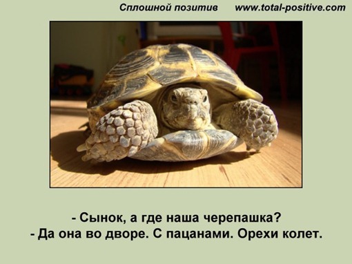 Как сделать чтобы настроение поднялось Как сделать чтобы настроение поднялось